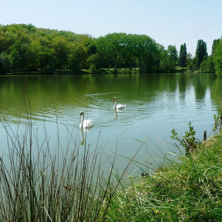 Lac de Boulogne-sur-Gesse